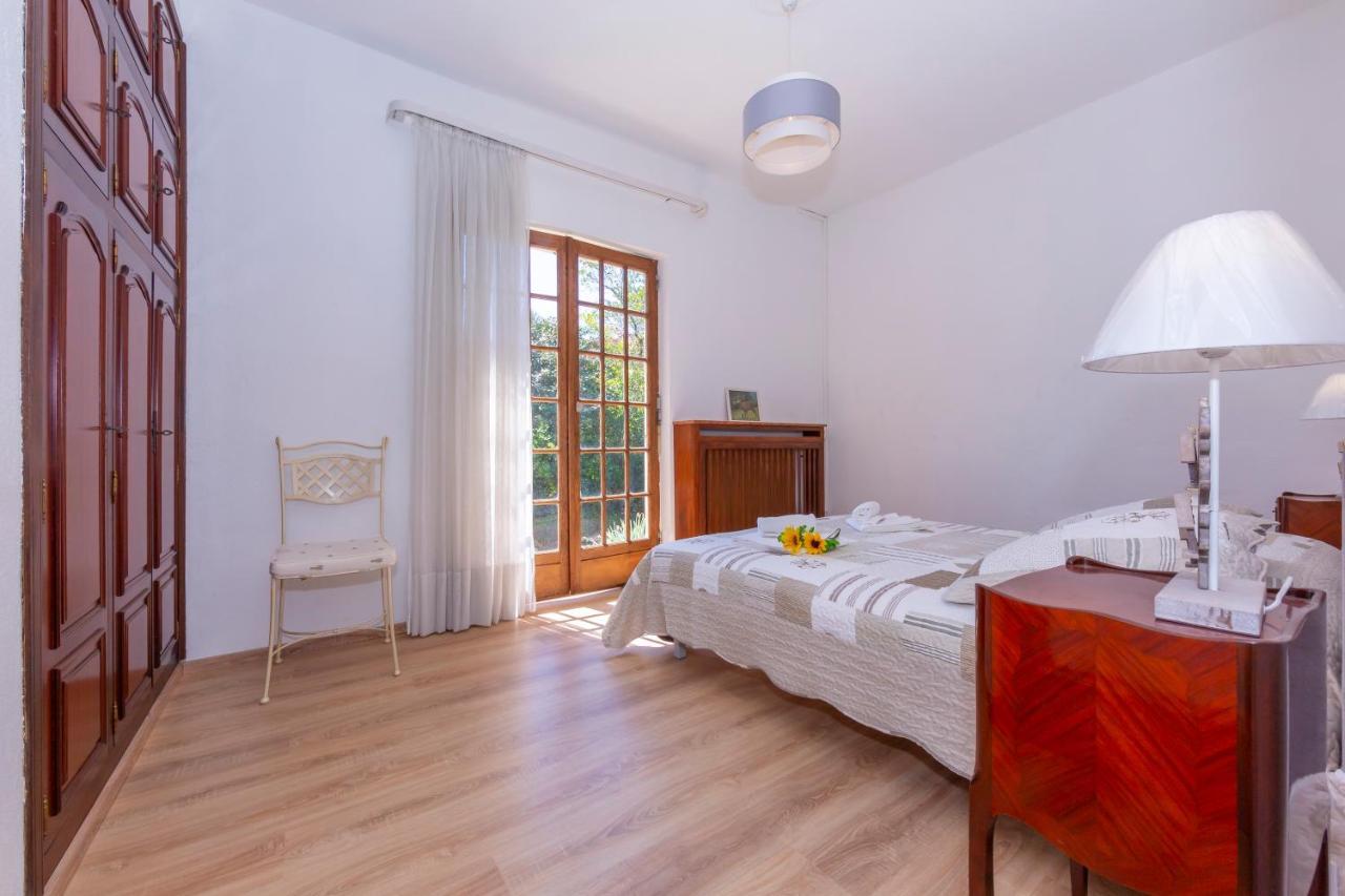 Villa Martine Au Bord Du Lac - Happy Rentals 卡德泽特 外观 照片